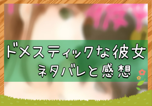 ドメスティックな彼女 210話ネタバレ 突然の出来事に動揺する華先輩 桃源先生の真意は そして過去に一体何が 漫画全巻無料検証の杜