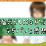 水溜まりに浮かぶ島｜ネタバレと感想